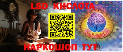 PSILOCYBIN Сланцы