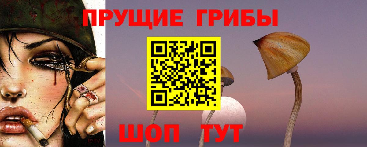 Галлюциногенные грибы Cubensis Приморско-Ахтарск